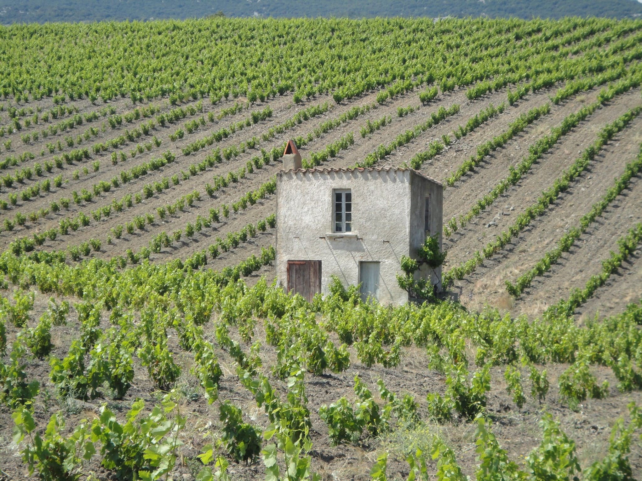 Domaine Chaluleau Pons