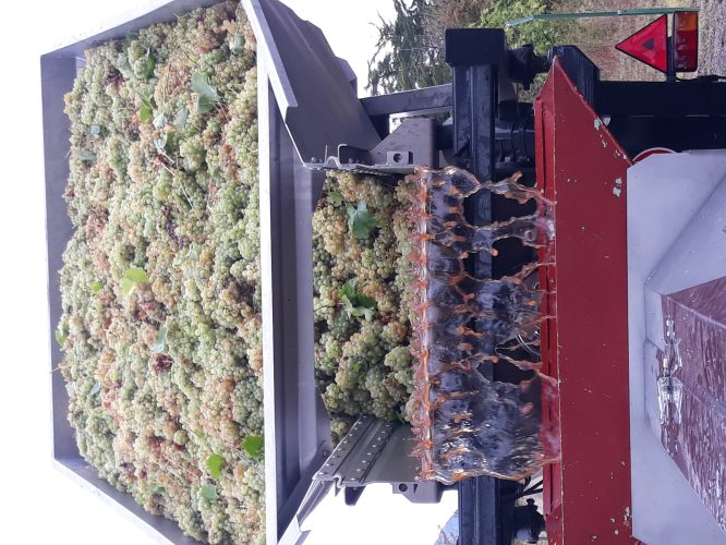 Domaine Chaluleau Pons
