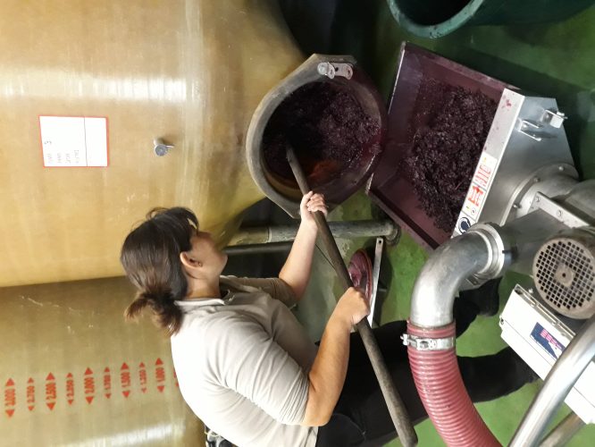 Domaine Chaluleau Pons