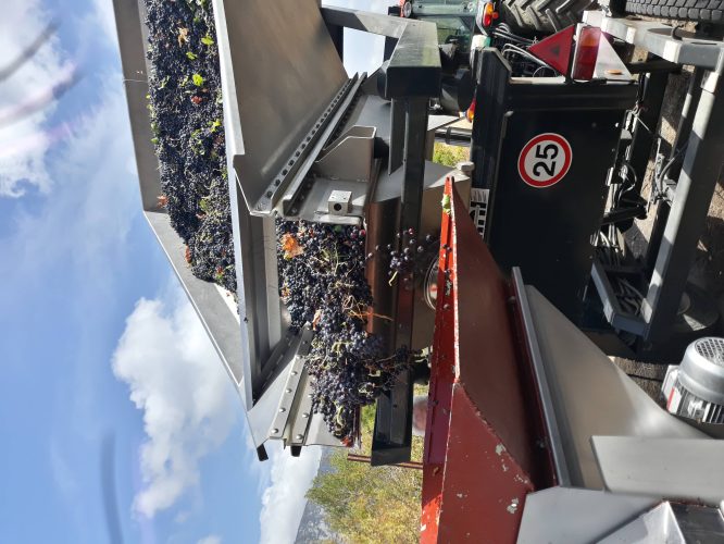 Domaine Chaluleau Pons